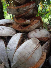 Carregar imagem no visualizador da galeria, Image 03: Tiki Solaire Tiki Monoi Ao 120Ml