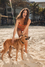 Carregar imagem no visualizador da galeria, Image 14: Rio De Sol Bas Bottom Maracai Essential
