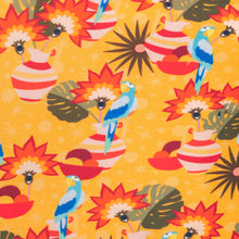 Carregar imagem no visualizador da galeria, Set Stories Tri-Fixo Cheeky-Micro
