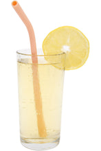 Carregar imagem no visualizador da galeria, Image 02: Sunnylife Pique-Nique M Straws Multi S4
