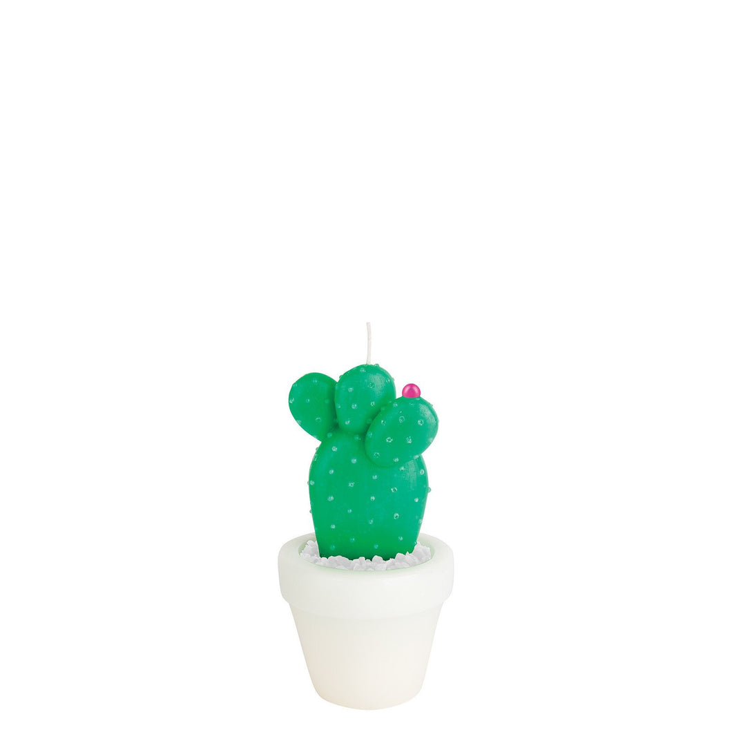 Round Cactus Candle Small